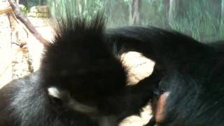 Parents have their moment interupted by their kids during visit to Cleveland OH zoo on June 30