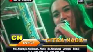 Download lagu MAS KULA MELU || TARLING TENGDUNG || CITRA NADA mp3 Download lagu MAS KULA MELU || TARLING TENGDUNG || CITRA NADA mp3