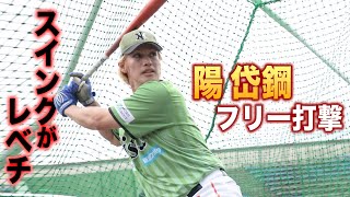 [分享] 目前最近距離的陽岱鋼練球畫面