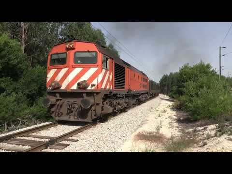 Bombardier 1964 no Ramal do Louriçal e da Celbi - 2024