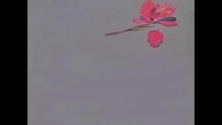 Elis Regina - Bolero de Satã (Part: Cauby Peixoto)