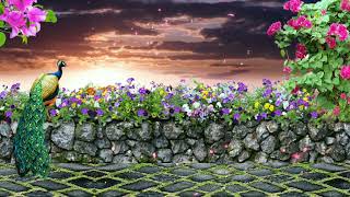 Download lagu Beautiful Sunrise & The Flowers | NO COPYRIGHT VIDEO | NATURE mp3 Download lagu Beautiful Sunrise & The Flowers | NO COPYRIGHT VIDEO | NATURE mp3