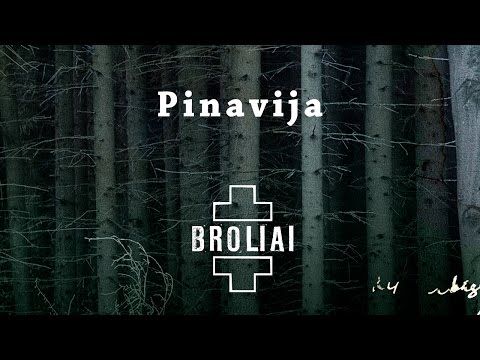 Aistė Smilgevičiūtė & SKYLĖ - Pinavija / Peony