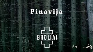 Download lagu Aistė Smilgevičiūtė & SKYLĖ - Pinavija / Peony mp3 Download lagu Aistė Smilgevičiūtė & SKYLĖ - Pinavija / Peony mp3