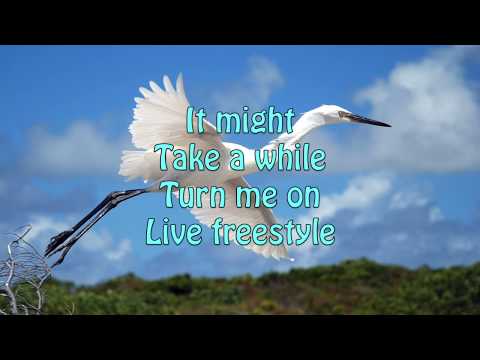 Freestyle - K's Choice