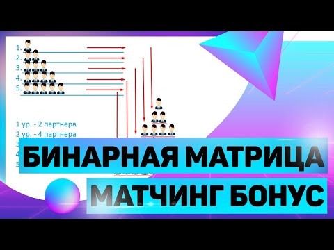 SuperSmartEvolution, изменения в маркетинге. Бинарная матрица, бонусы.