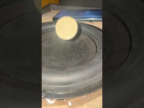 Speaker test (polarity)