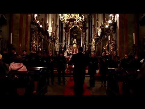 Punkt. - Sacrae Historiae - Johann Michael Bach - Halt, was du hast