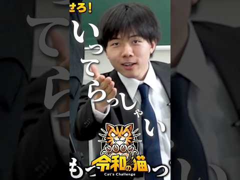 児童教育学科 透明性がテレビにはない！ #令和の猫 #山本康二 #令和の虎じゃないよ