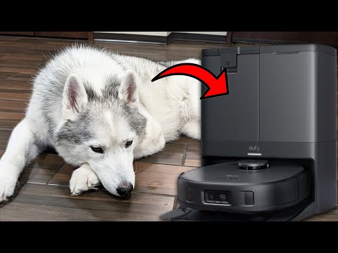 YouTube Video Cover