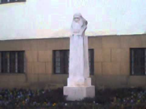 video-2013-11-16-13-22-46