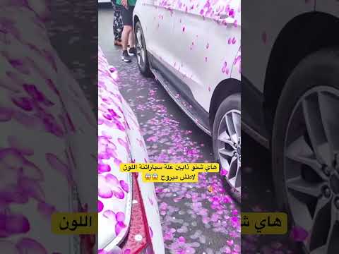 هاي شنو ذابين علة سياراتنة اللون لاطش ميروح 😱😱 #علي_شاكر #ياني_وداني #مجودي_جودي #شفا #تيك_توك