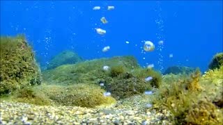 Vulcanismo secondario nel mare di Gioiosa Marea