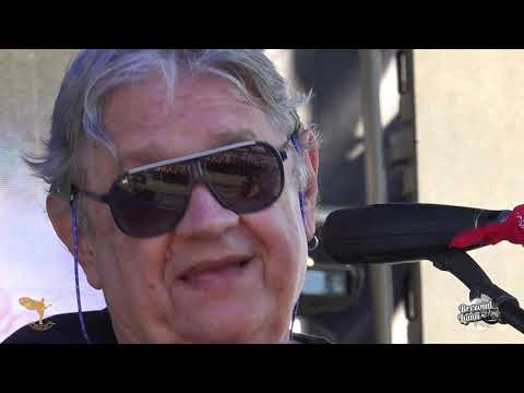 Mircea Vintilă - Live @ Baricada Folk l Summer Camp Brezoi l 18 iunie 2022