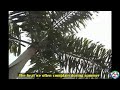 मेरी प्यास बुझाओ