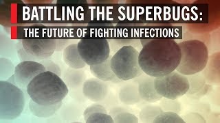 Battling the Superbugs: The Future of Fighting Infections
