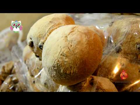 Castri di Gusto - Il viaggio nelle produzioni locali