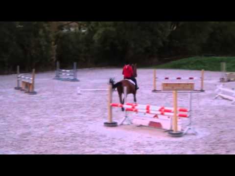 Sportpferde Matthias Keil - Loriana