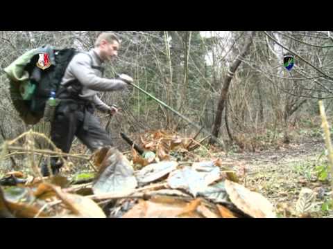 selekcja do wojsk specjalnych