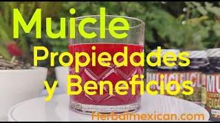 Para que sirve el muicle, Propiedades y beneficios del muicle - Herbal Mexican