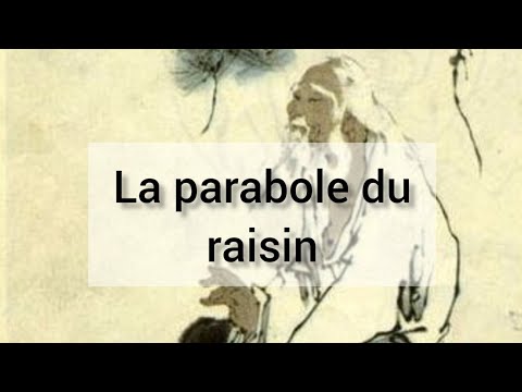 La parabole du raisin. histoire tirée du livre de Yu Dan "Le bonheur selon Tchouang-Tseu"