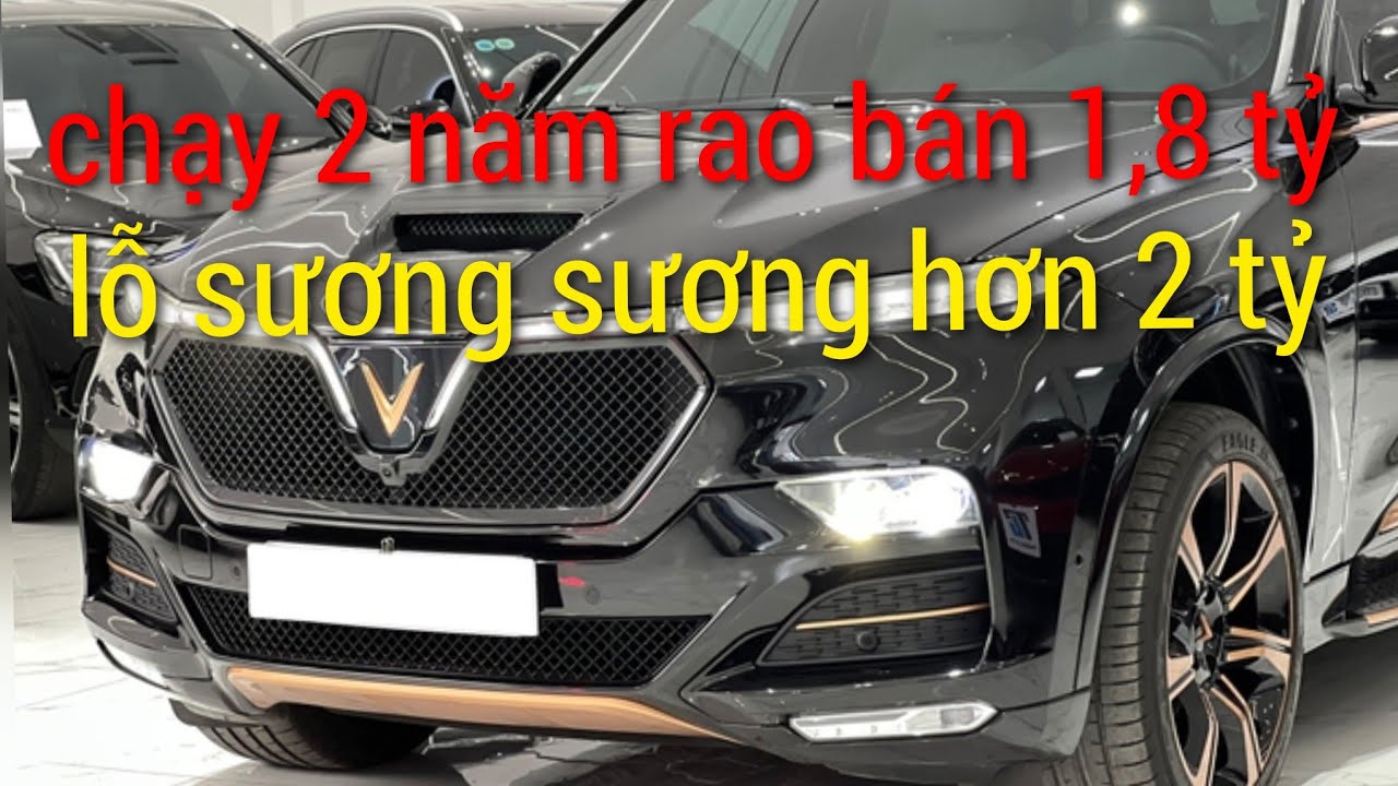 VinFast President car owner cried out in pain after buying a car for 4.6 billion VND, driving it ...