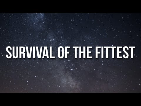 Polo G, Future - Survival Of The Fittest (Lyrics)