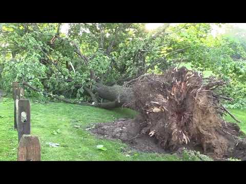 05-27-2021 Lancaster, PA - Multiple Trees Damaged After a Strong Storms at Longs Park