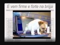 Video Jornal Wmv