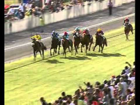 Weekend International 2011: 6e course - Prince Of Troy (Buick)