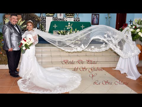 boda de plata del sr. gabino hernandez y sra. maria rosas #2