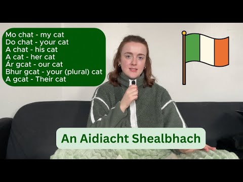 How to use the possessive adjective in IRISH (GAEILGE) | How to say 'my', 'your', 'his' etc