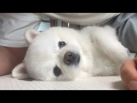 YouTube 썸네일