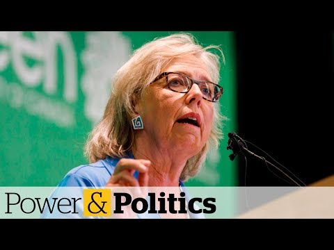 'Zero chance' Green MP will reopen the abortion debate, says Green Party