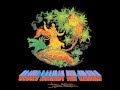 Paul Kantner Jefferson Starship - Mau Mau (Amerikon)