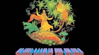 Paul Kantner Jefferson Starship - Mau Mau (Amerikon)