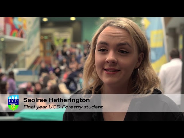 UCD Forestry Degree