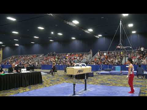 Asher Hong - Pommel Horse - 2018 Winter Cup - Finals