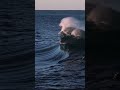 Romantic Midnight Lofi Gramophone Bites Indianlofi Lofivibes Feel The Music Feel The Love