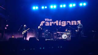 Marvell Hill - The Cardigans