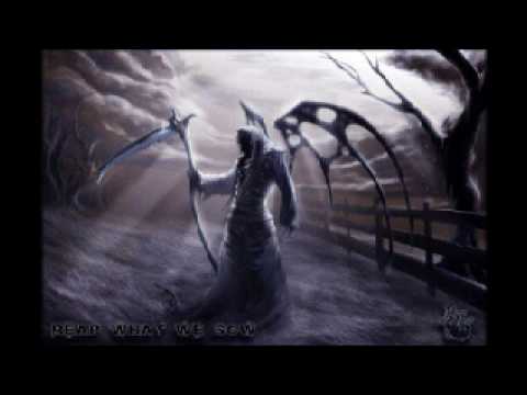 Fungus Funk vs Psyfactor - Track 3