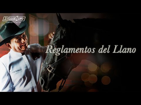 Reglamentos Del Llano | @Aries Vigoth (Audio Oficial)