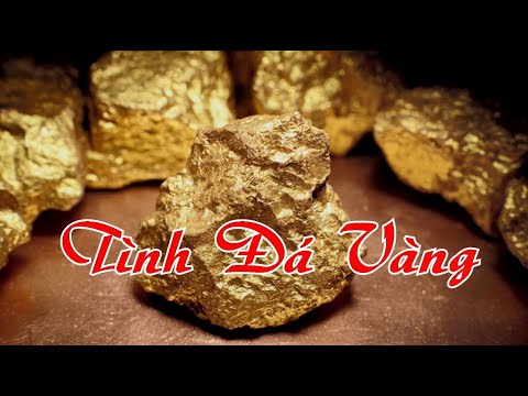 Tình đá vàng Sheet - Nhật Huy