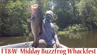 East Texas Buzzfrog MADNESS