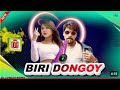 BIRI DOGOY DOGOY KORA New Santali Video Song 2024 Kunamimusic