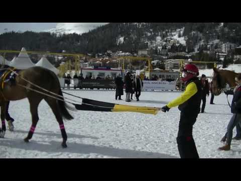White Turf 2017  St. Moritz