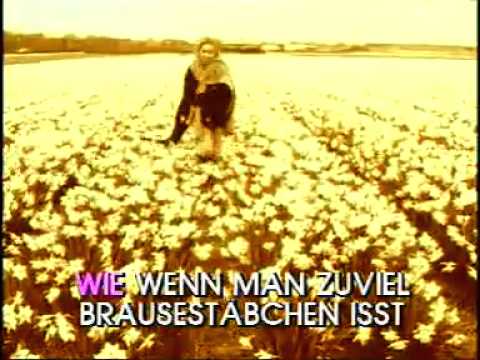 KRIBBELN IM BAUCH PE WERNER mpg Low)