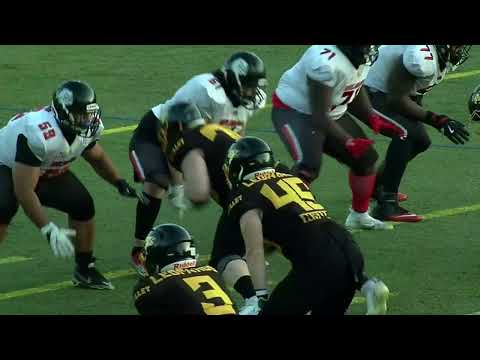 🏈 Résumé D1 Élite : LEOPARDS - MOLOSSES