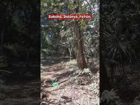 Sitio Arqueológico Sukché, Dolores, Petén.