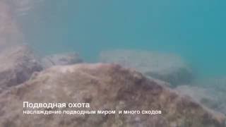 Подводная рыбалка в черногории